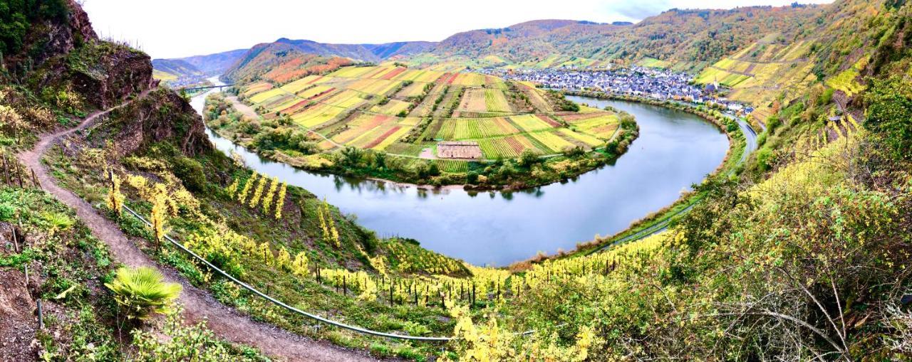 Haus Am Ufer Mit Rheinpanoramablick Apartment Koblenz  Bagian luar foto