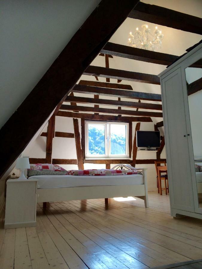 Haus Am Ufer Mit Rheinpanoramablick Apartment Koblenz  Bagian luar foto